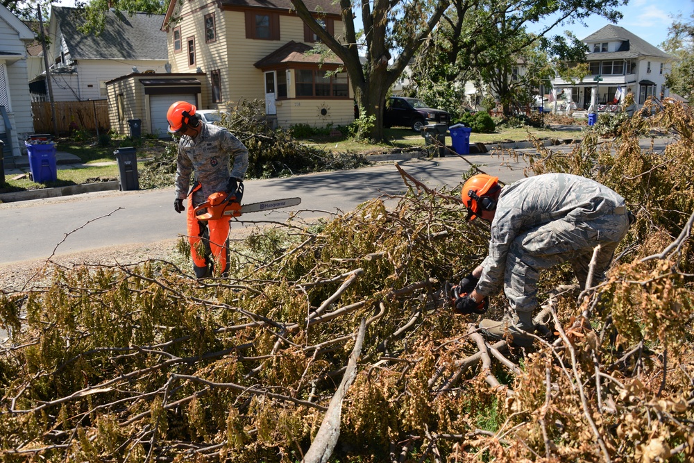 Clearing branches