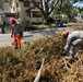 Clearing branches