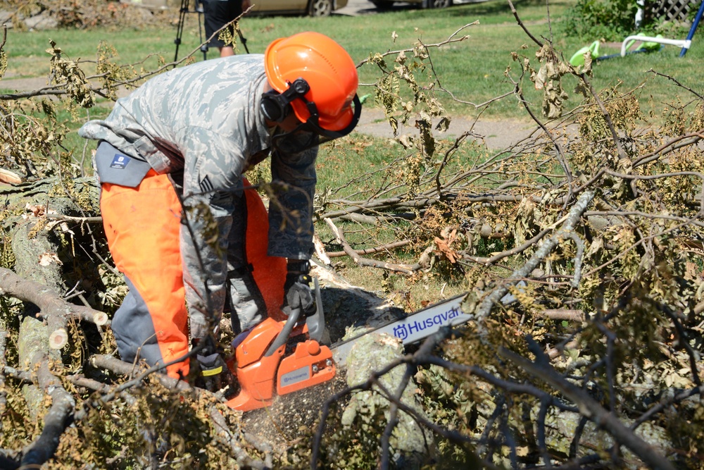 Cutting trees