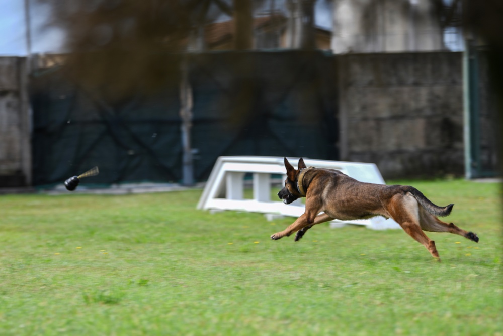 MWD team joins forces, forge courage