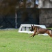 MWD team joins forces, forge courage