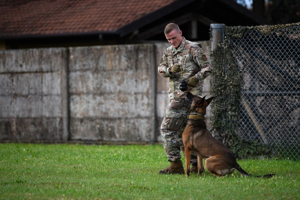 MWD team joins forces, forge courage