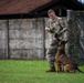 MWD team joins forces, forge courage