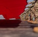 Indiana Guardsmen lend a hand to Indianapolis Colts