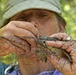 Removing an oak titmouse from a mist net