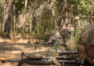 Soldiers at JBLM conduct situational training exercise