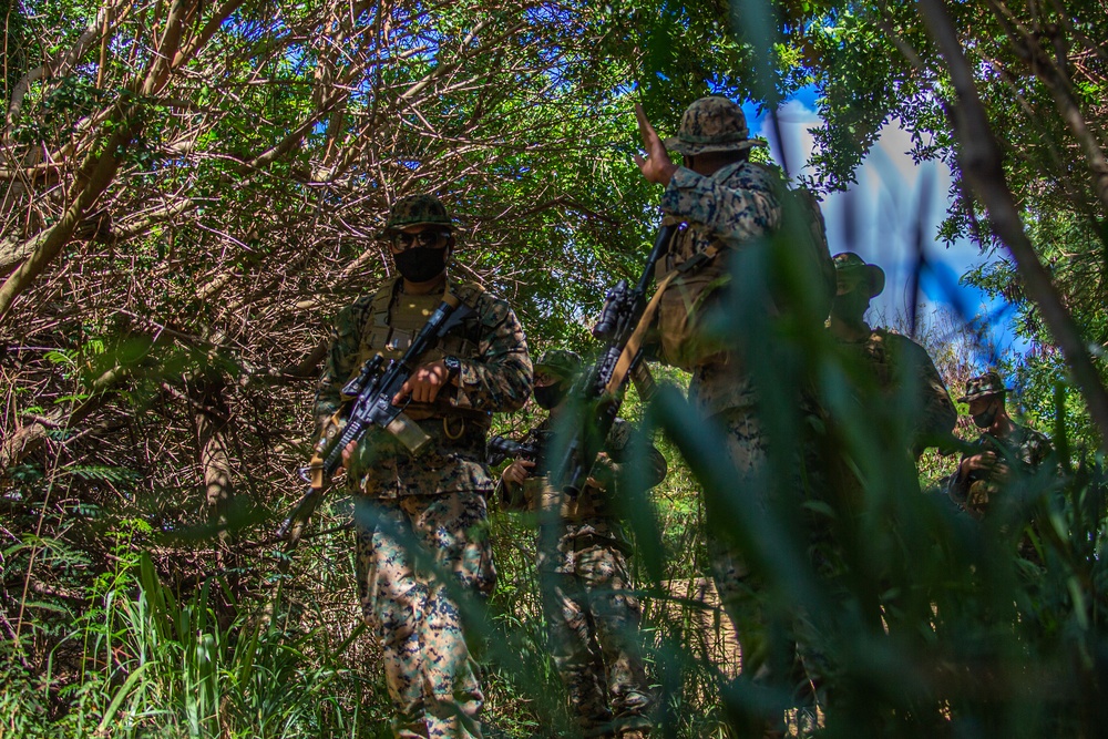 Bougainville I: Fox IED training