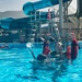 SAR Training on CFAS
