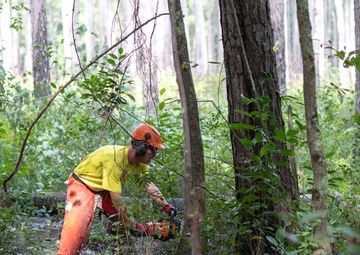 Fort Bragg researchers discover way to multiply endangered butterfly population