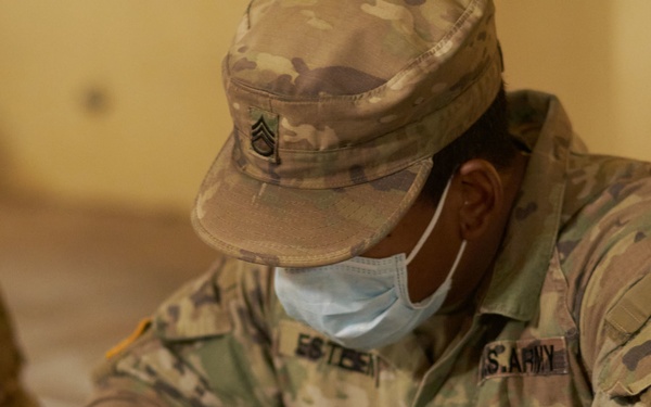 Cacti EDRE August 2020