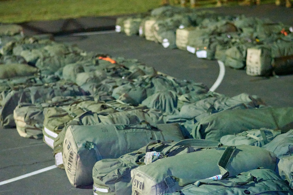 Cacti EDRE August 2020