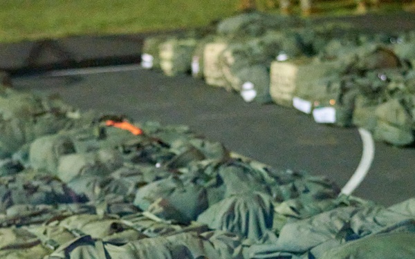 Cacti EDRE August 2020