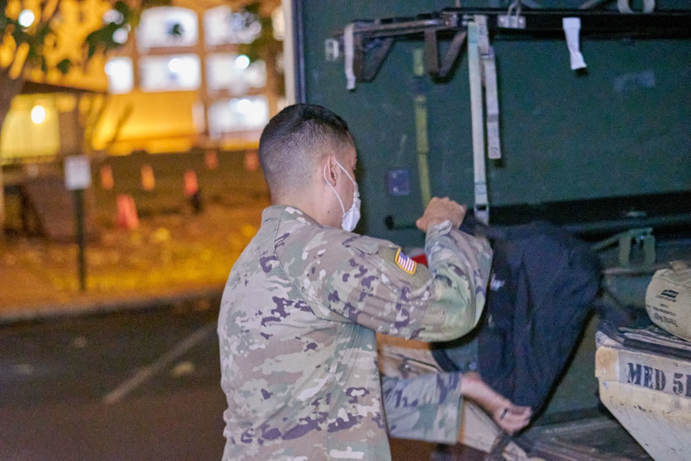 Cacti EDRE August 2020