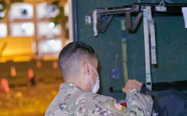 Cacti EDRE August 2020