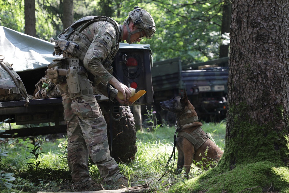 Keeping man's best friend hydrated