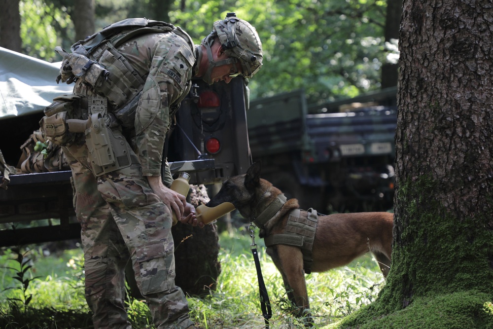 Keeping man's best friend hydrated