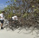 Beach Cleanup