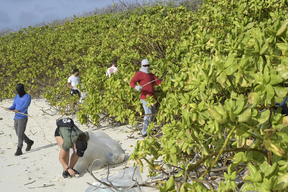 Beach Cleanup