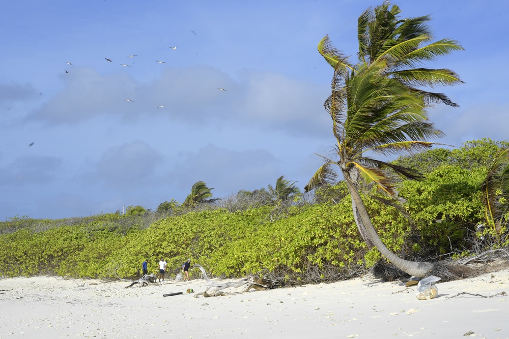 Beach Cleanup