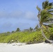 Beach Cleanup