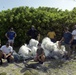 Beach Cleanup