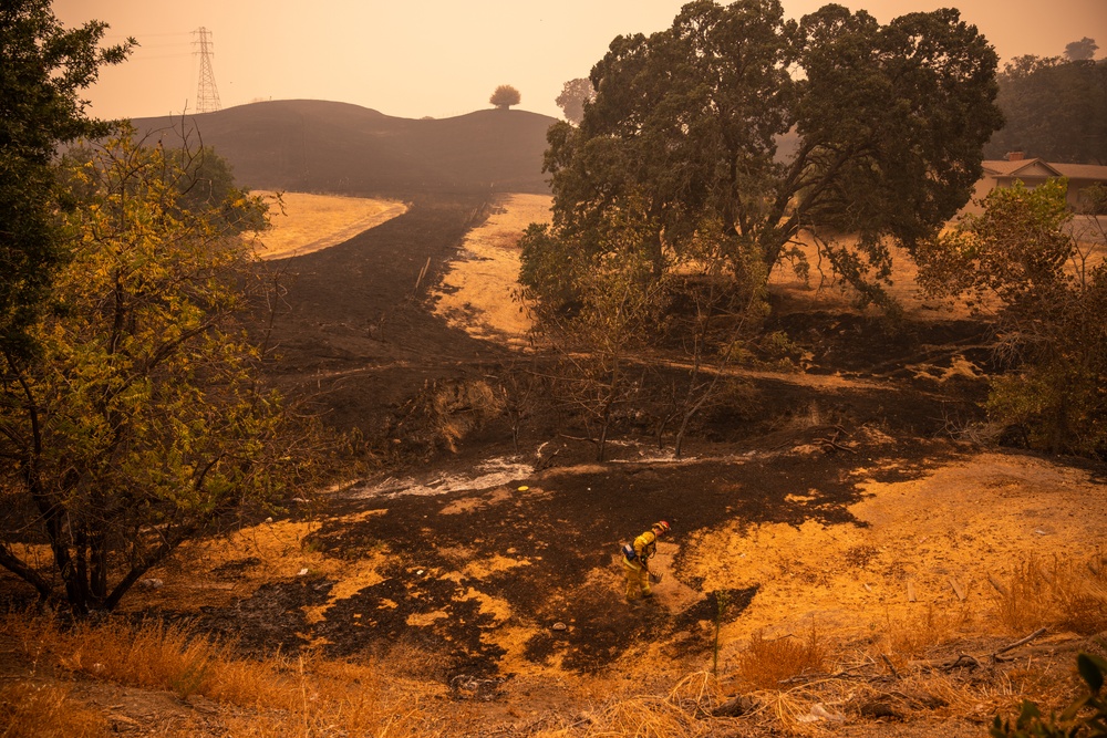 Travis firefighters help community battle Solano wildfires