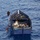 Coast Guard repatriates 20 migrants to Cuba