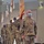 A formation of U.S. Army soldiers in OCP (Operational Camouflage Pattern) uniforms are marching or standing at attention during what appears to be an indoor military ceremony. The lead soldier, identified by name tape as 'SCAGGS,' wears a surgical face mask and displays senior NCO rank insignia. Color guard members carry military guidons and flags behind the formation.
