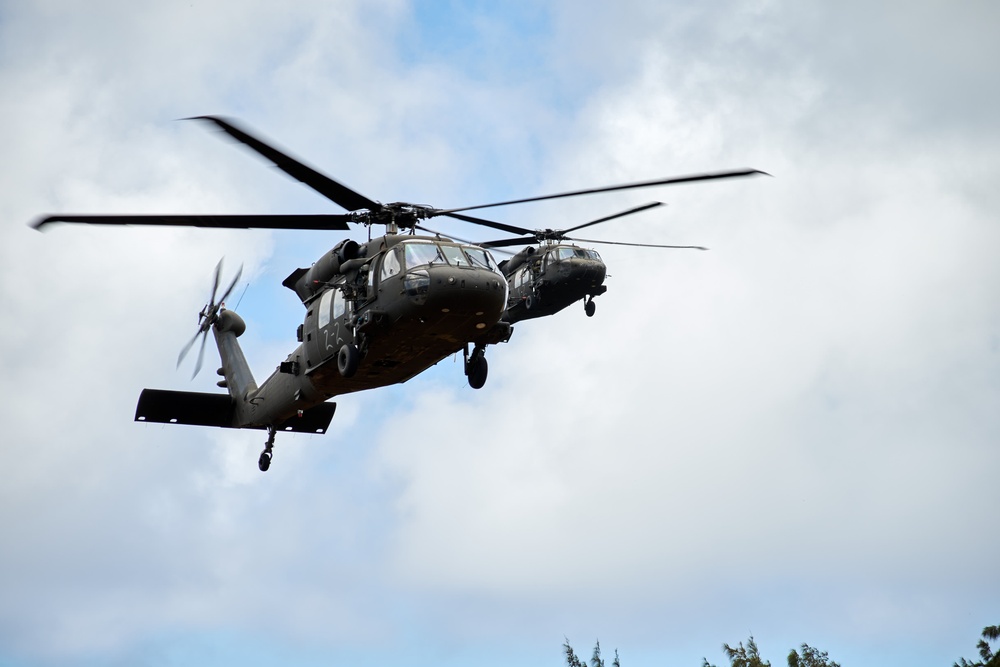Apache: Air Assault