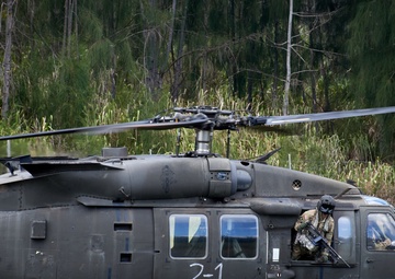 Apache Air Assault