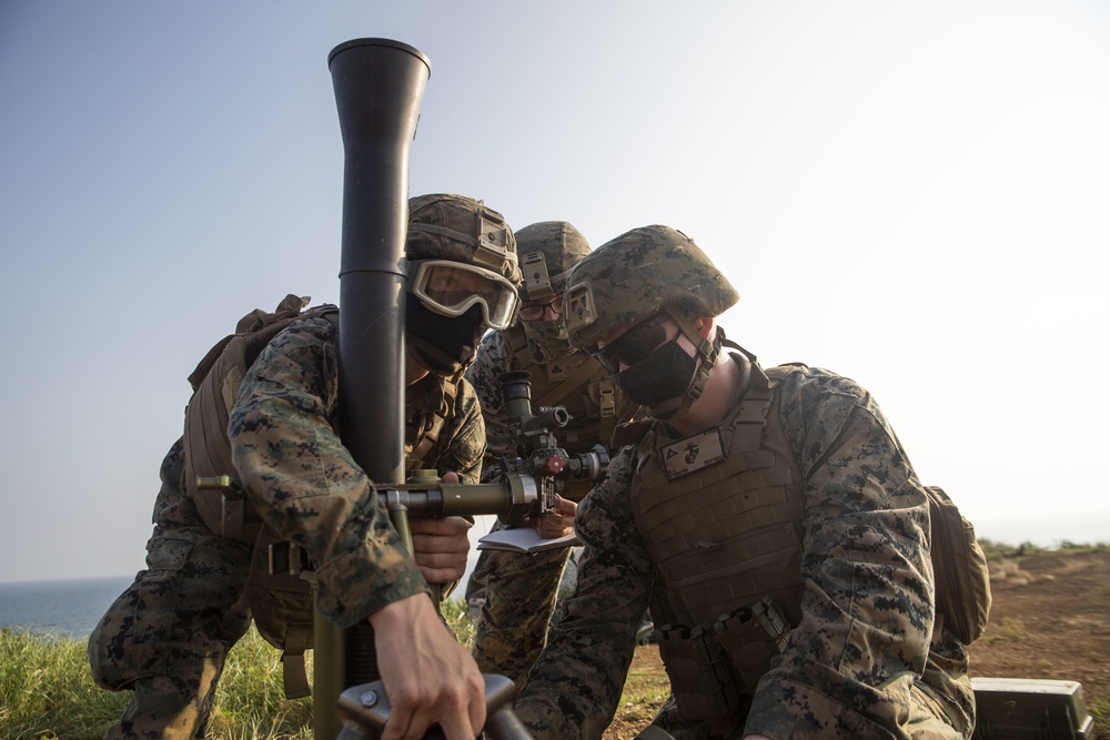 5th Air Naval Gunfire Liaison Company coordinates close air support and assault support during training