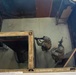 Room Clear!