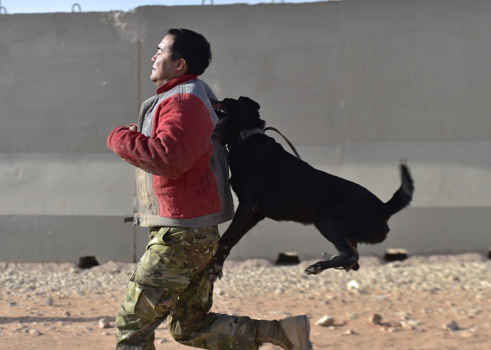 378 AEW leadership visit security forces down range