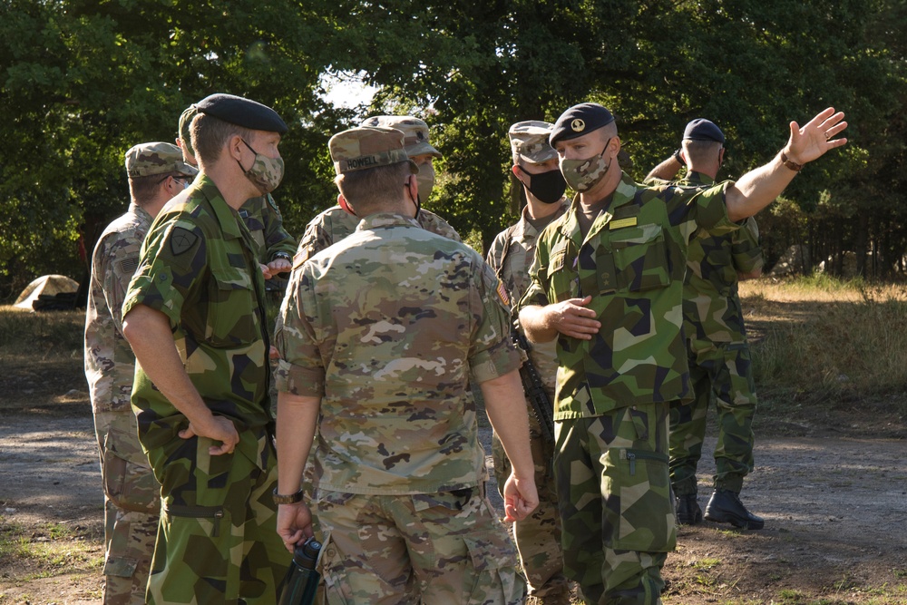 Swedish delegation observes U.S. air defense training