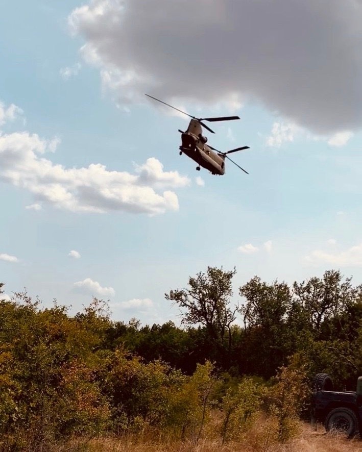 Chinook action