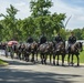 Modified Military Funeral Honors With Funeral Escort Are Conducted for U.S. Marine Corps Gunnery Sgt. Diego Pongo in Section 60