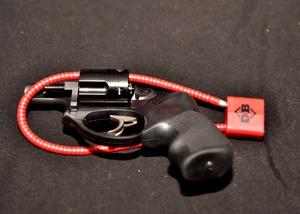 News You Can Use - Free Gun Locks
