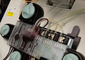 COVID-19 patients can give back