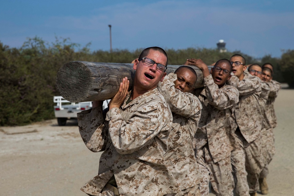 Lima Company Log Drills