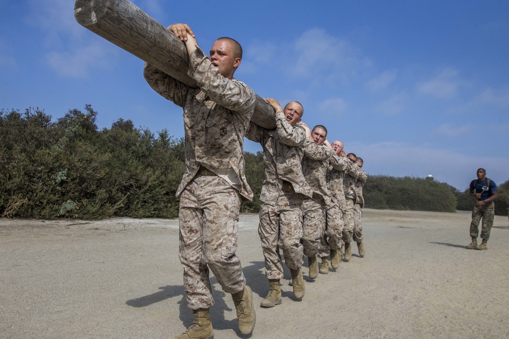 Lima Company Log Drills
