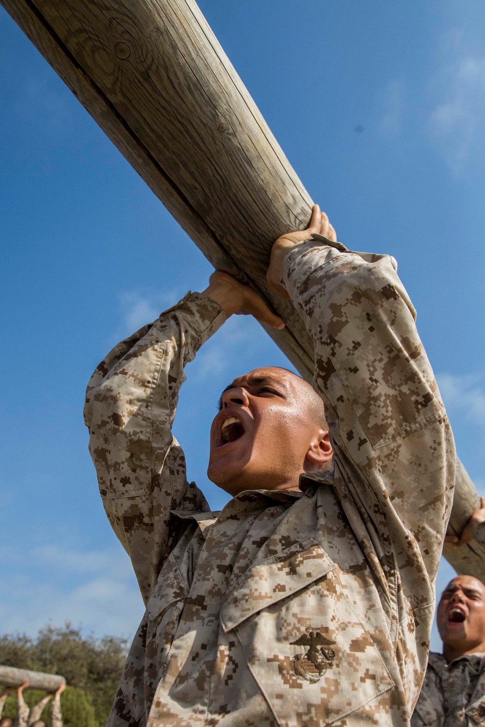 Lima Company Log Drills