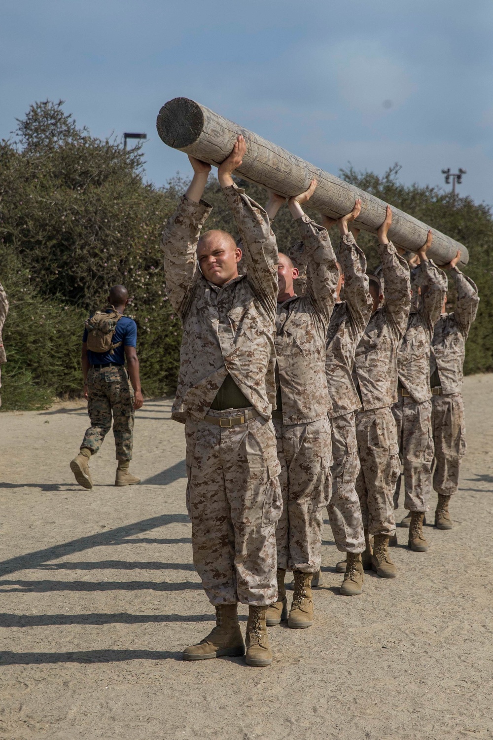Lima Company Log Drills