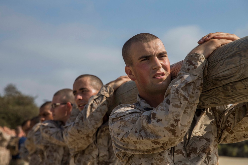 Lima Company Log Drills