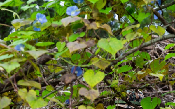 Task force US Marines conduct combat hunter course