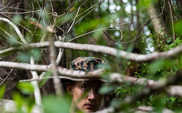 Task force US Marines conduct combat hunter course