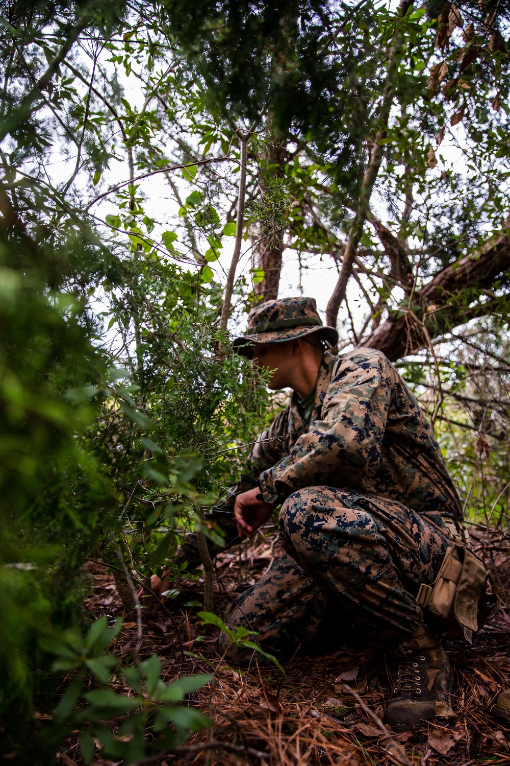 Task force US Marines conduct combat hunter course