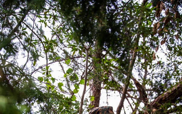 Task force US Marines conduct combat hunter course