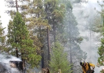 U.S. Army firefighters assist local departments during 2020 California wildfire season