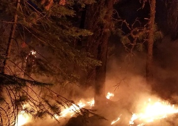 Michigan National Guard Airmen support California wildfire effort