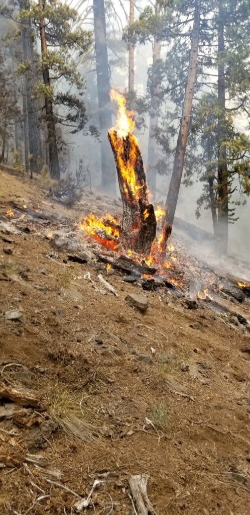 U.S. Army firefighters assist local departments during 2020 California wildfire season